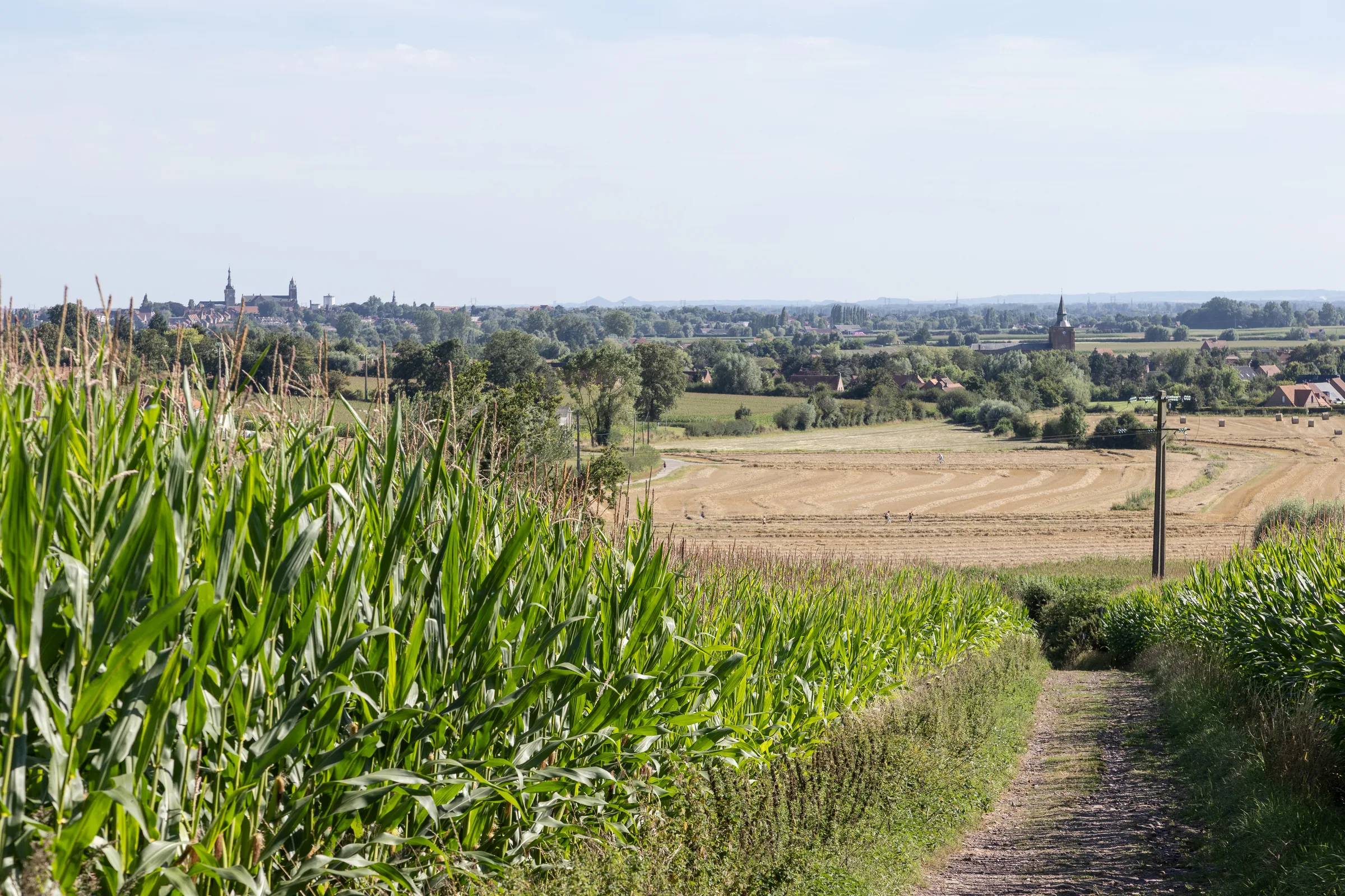 Les monts de Flandre, vue sur la campagne flamande depuis le Mont Noir