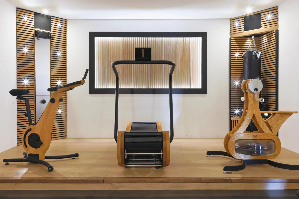 Maison La Vesée, l'Annexe, la salle de sports, vue générale de l'espace cardio : vélo, tapis de course, vélo à bras, SkiErg et sac de frappe, équipements WaterRower et NOHrD
