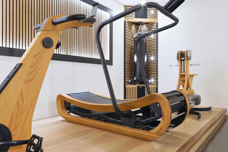 Maison La Vesée, l'Annexe, la salle de sports, le tapis de course Sprintbok NOHrD en chêne