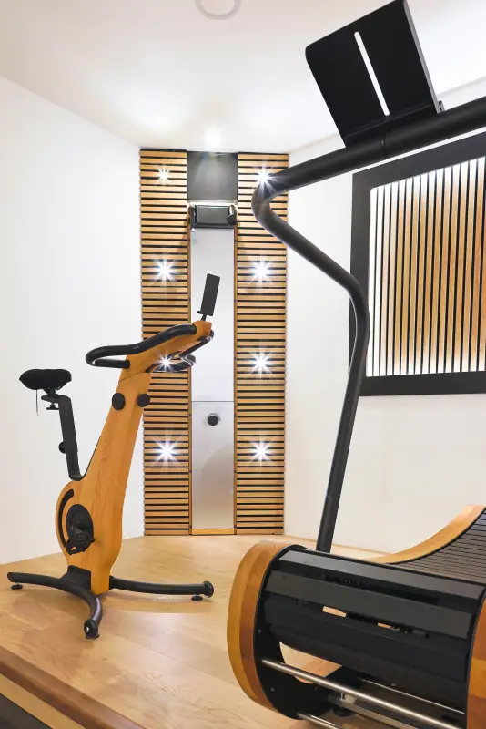 Maison La Vesée, l'Annexe, la salle de sports, le vélo et le SkiErg, le tapis de course au premier plan