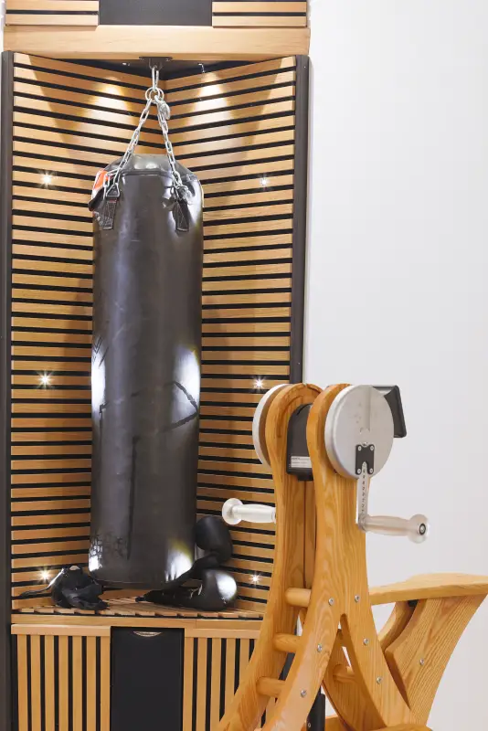 Maison La Vesée, l'Annexe, la salle de sports, le sac de frappe et le vélo à bras WaterRower au premier plan