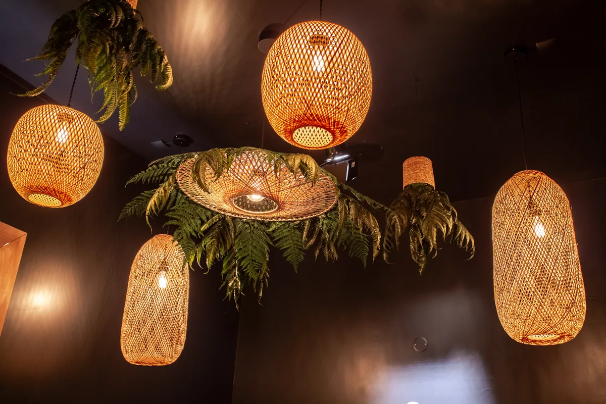L'Espace bien-être de Maison La Vesée, détail sur les luminaires en osier du plafond avec les fougères