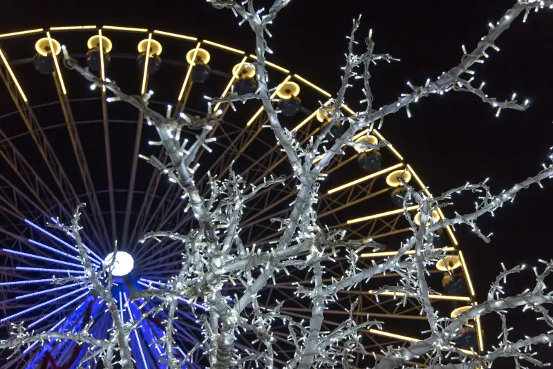 Die blauen und goldenen Speichen des Riesenrads durch die Zweige eines Lichterbaums